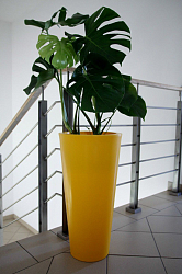 Вазон-горшок садовый PD CONCEPT Venus PL-VE70-PD, цвет желтый