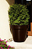 Вазон-горшок садовый PD CONCEPT Saturn PL-SA55, цвет коричневый
